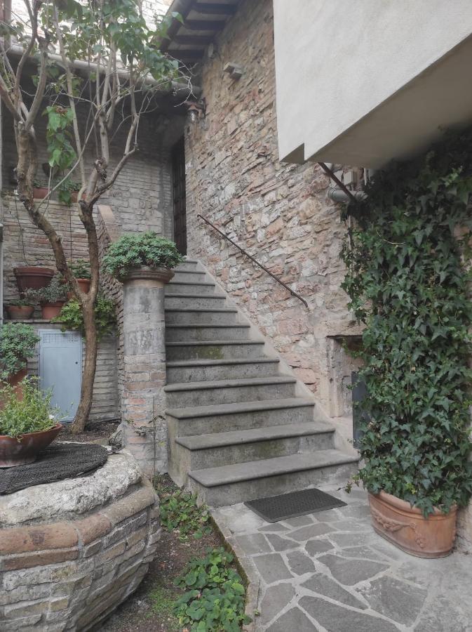 All'Archetto Del Terz'Ordine 阿西西 外观 照片